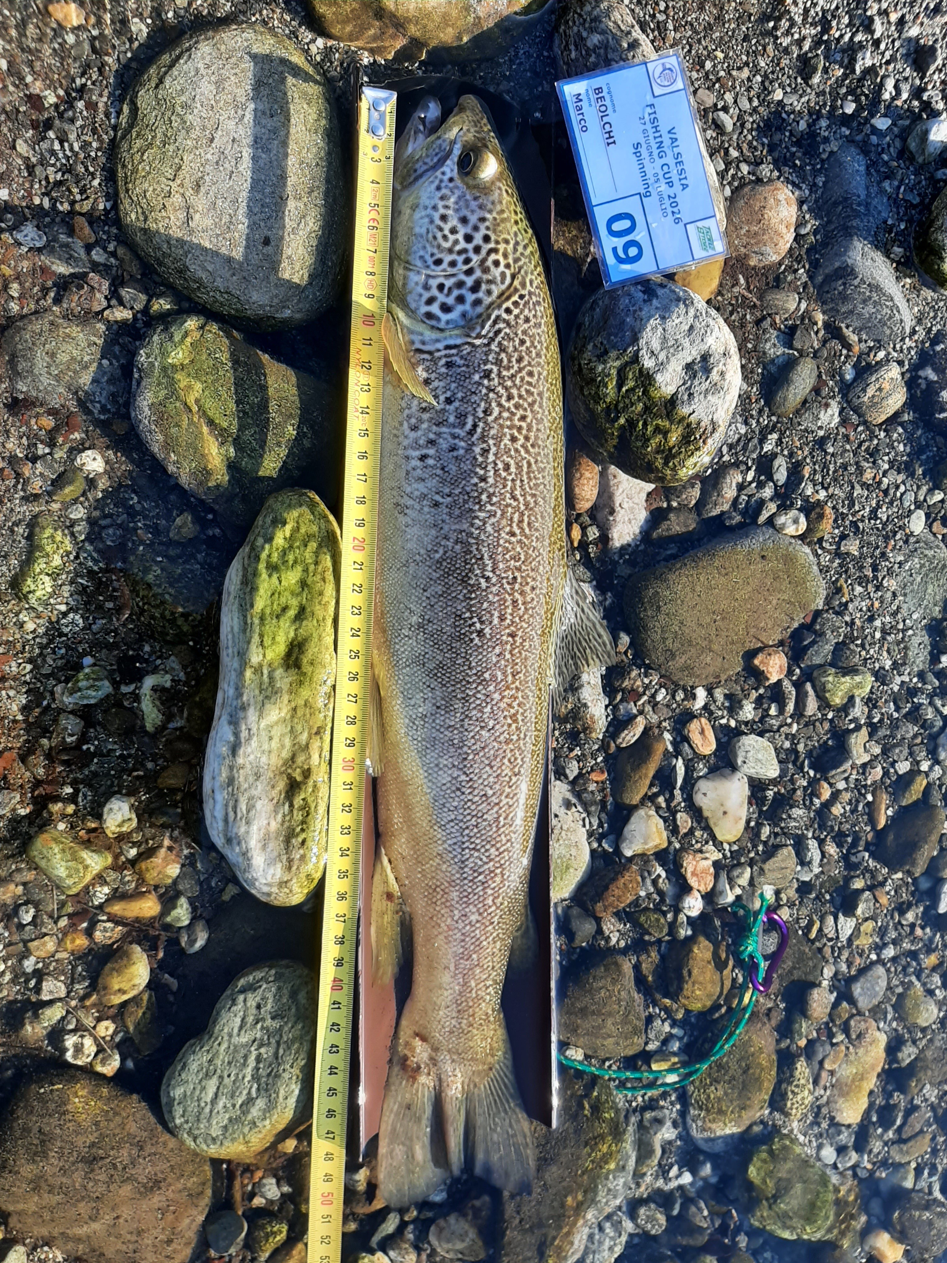 VALSESIA FISHING CUP